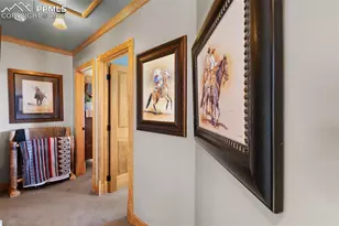 558 Hawk Ln, Florissant, CO 80816 - Photo 34