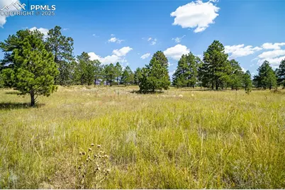 16759 Winsome Way, Colorado Springs, CO 80908 - Photo 2
