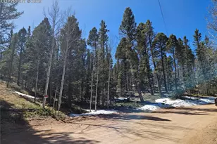 550 Manchester Dr, Florissant, CO 80816 - Photo 1