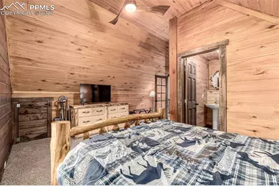 116 Dakota Path, Lake George, CO 80827 - Photo 24