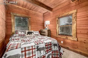 116 Dakota Path, Lake George, CO 80827 - Photo 26