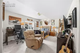 16297 Forest Cloud Wy, Monument, CO 80132 - Photo 42