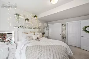 16297 Forest Cloud Wy, Monument, CO 80132 - Photo 38