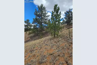 635 Sleepy Joe Drive, Lake George, CO 80827 - Photo 46
