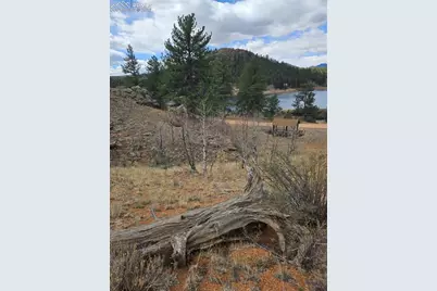 635 Sleepy Joe Drive, Lake George, CO 80827 - Photo 44