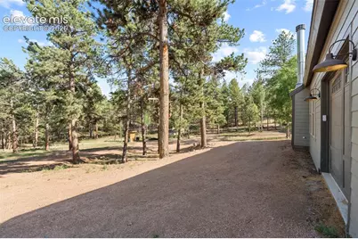 2270 Pikes Peak Drive, Florissant, CO 80816 - Photo 36