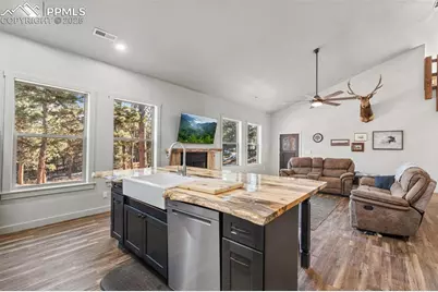 2270 Pikes Peak Drive, Florissant, CO 80816 - Photo 4