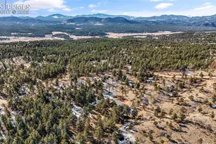 2270 Pikes Peak Dr, Florissant, CO 80816 - Photo 38