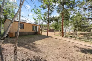 2270 Pikes Peak Dr, Florissant, CO 80816 - Photo 40