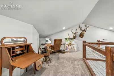2270 Pikes Peak Drive, Florissant, CO 80816 - Photo 34
