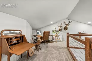 2270 Pikes Peak Dr, Florissant, CO 80816 - Photo 34