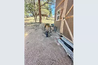 1176 Trail Creek Road, Lake George, CO 80827 - Photo 2