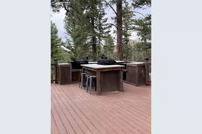 1176 Trail Creek Road, Lake George, CO 80827 - Photo 4