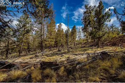 5302 Middle Fork Vista, Fairplay, CO 80440 - Photo 36