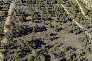 5302 Middle Fork Vista, Fairplay, CO 80440 - Photo 1