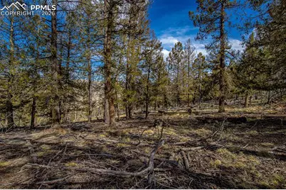5302 Middle Fork Vista, Fairplay, CO 80440 - Photo 34