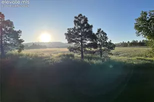 17067 Blue Mist Grove, Monument, CO 80132 - Photo 24