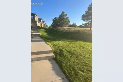 17067 Blue Mist Grove, Monument, CO 80132 - Photo 24