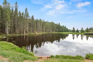 319 Maroon Lake Cir, Divide, CO 80814 - Photo 26