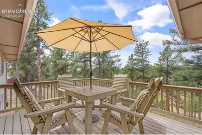 319 Maroon Lake Circle, Divide, CO 80814 - Photo 18