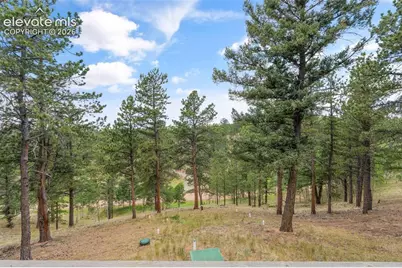 319 Maroon Lake Circle, Divide, CO 80814 - Photo 22