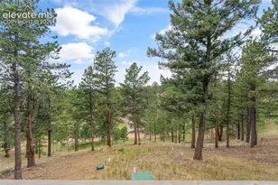 319 Maroon Lake Cir, Divide, CO 80814 - Photo 22
