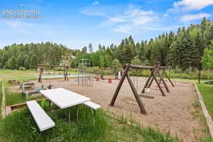 319 Maroon Lake Cir, Divide, CO 80814 - Photo 28