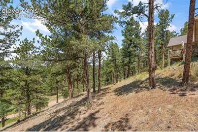 319 Maroon Lake Circle, Divide, CO 80814 - Photo 24