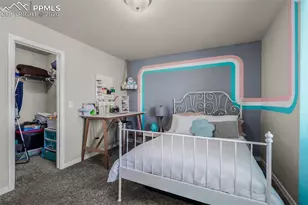 10895 Lavanya Pl, Fountain, CO 80817 - Photo 26