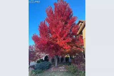 6671 Prairie Wind Drive, Colorado Springs, CO 80923 - Photo 42