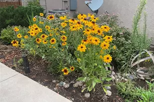 6671 Prairie Wind Dr, Colorado Springs, CO 80923 - Photo 36