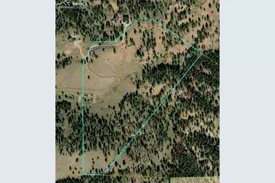 409 Wind Dancer Circle, Florissant, CO 80816 - Photo 4