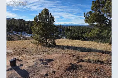 409 Wind Dancer Circle, Florissant, CO 80816 - Photo 14