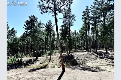 3135 Promise Point, Colorado Springs, CO 80921 - Photo 30