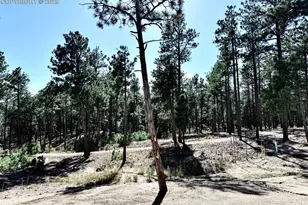 3135 Promise Pt, Colorado Springs, CO 80921 - Photo 30