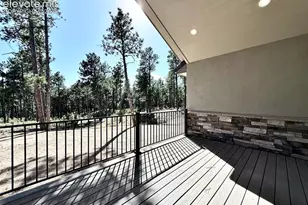 3135 Promise Pt, Colorado Springs, CO 80921 - Photo 22