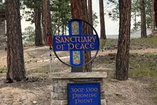 3135 Promise Pt, Colorado Springs, CO 80921 - Photo 28