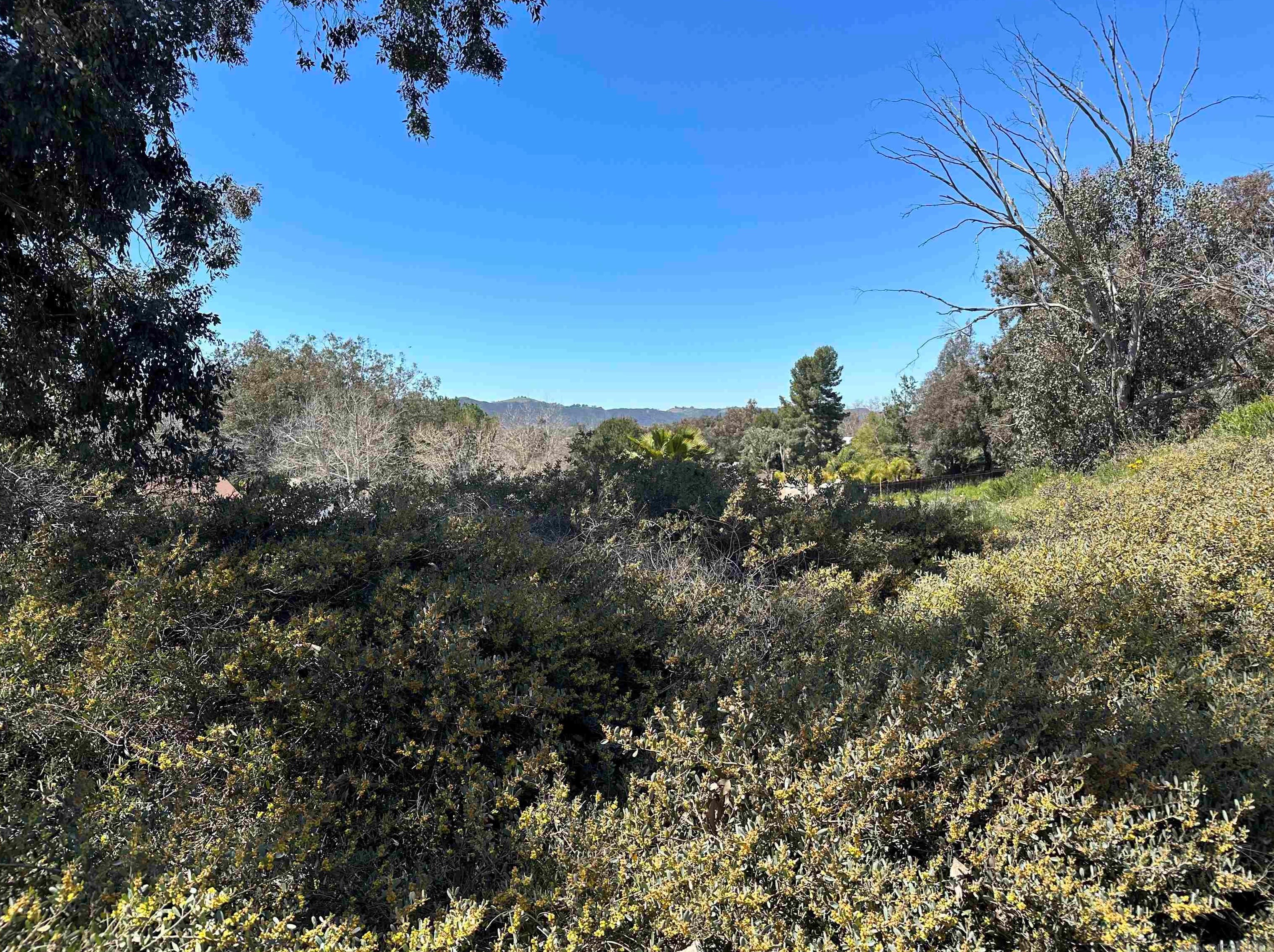 43105 Agena St, Temecula CA  92592-3295 exterior