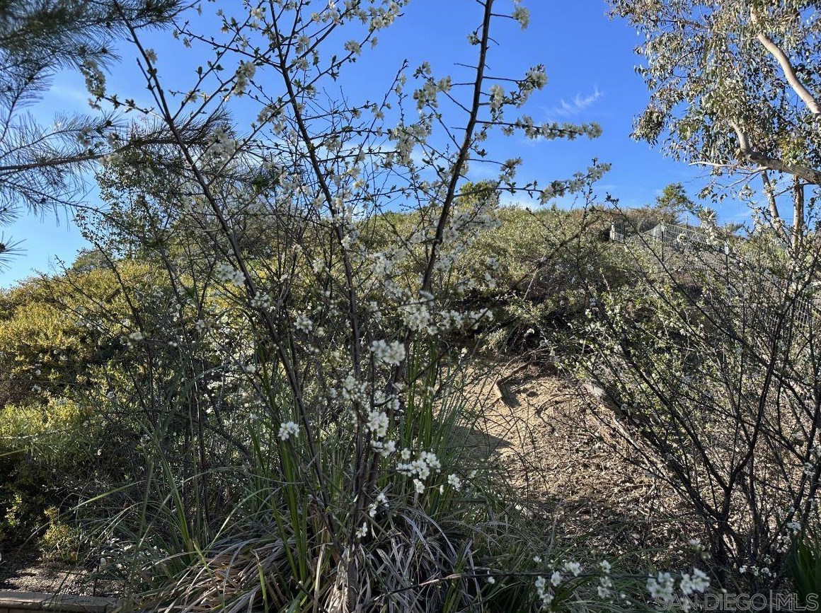 43105 Agena St, Temecula CA  92592-3295 exterior