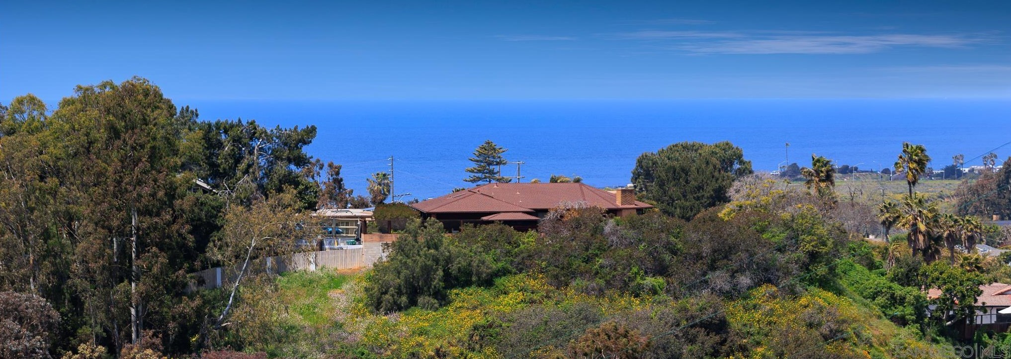 1660 Leora Ln, Encinitas, CA 92024
