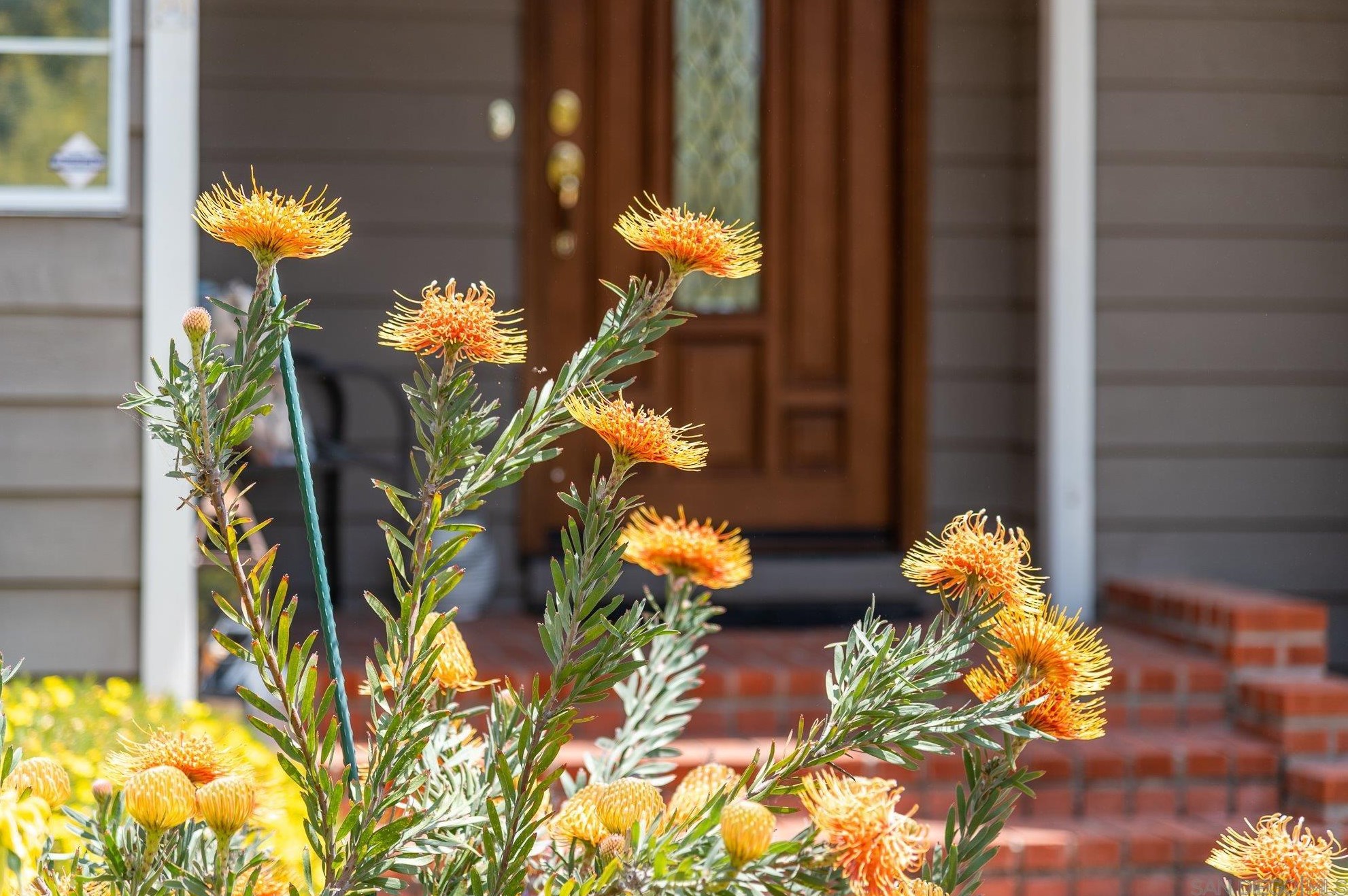 9670 Candy Ln, La Mesa, CA 91941