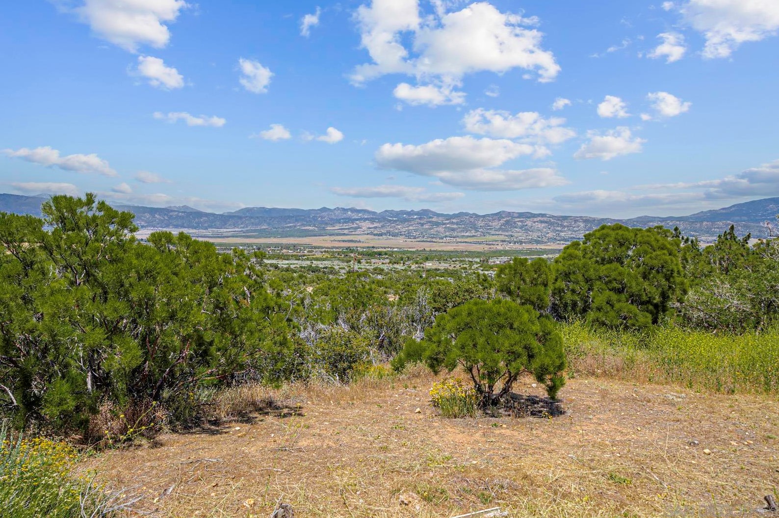 55630 Rock Canyon Rd, Anza CA  92539-9776 exterior