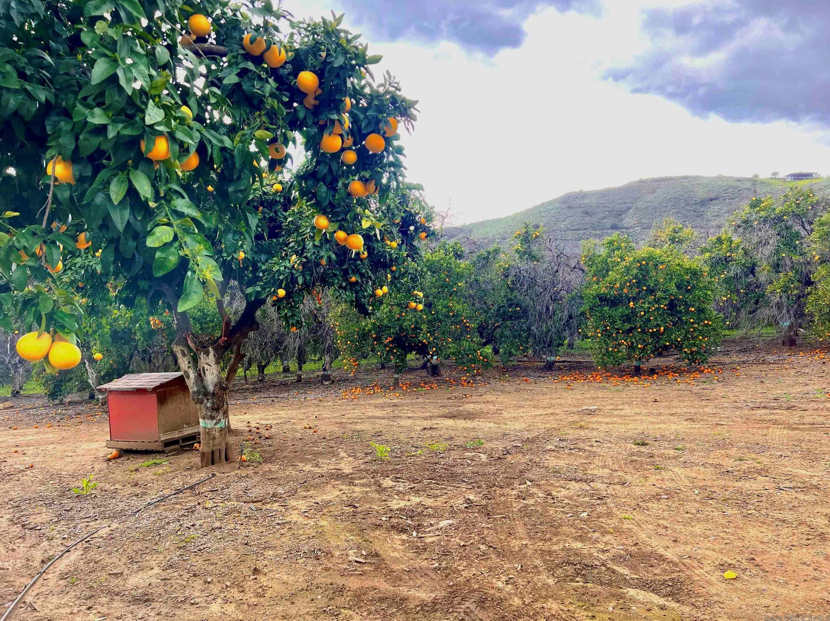 32500 Rincon Ranch Rd, Pala CA  92061 exterior