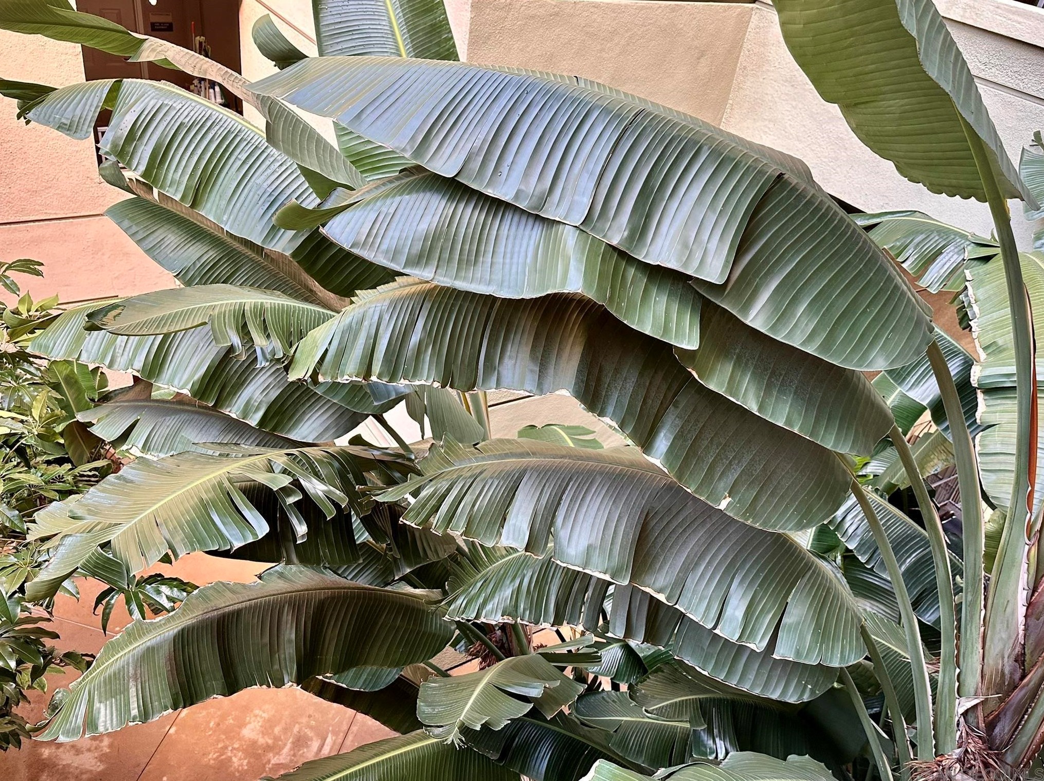 1501 Front St, San Diego CA  92101-2973 exterior