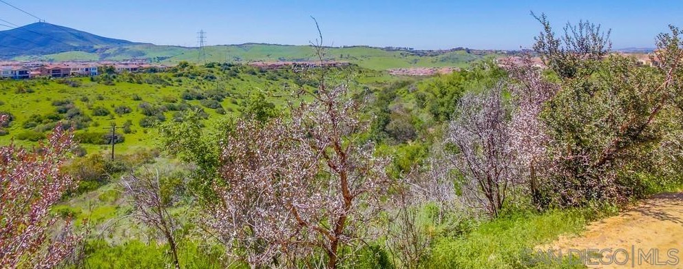 8575 Old Stonefield Chase, San Diego CA  92127-6134 exterior