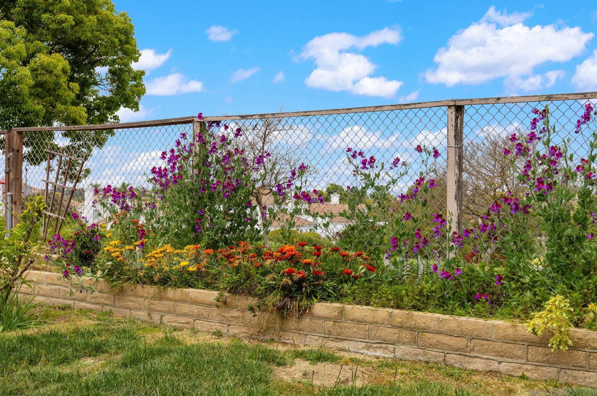 2016 Redwood Crst, Vista CA 92081-7337 exterior