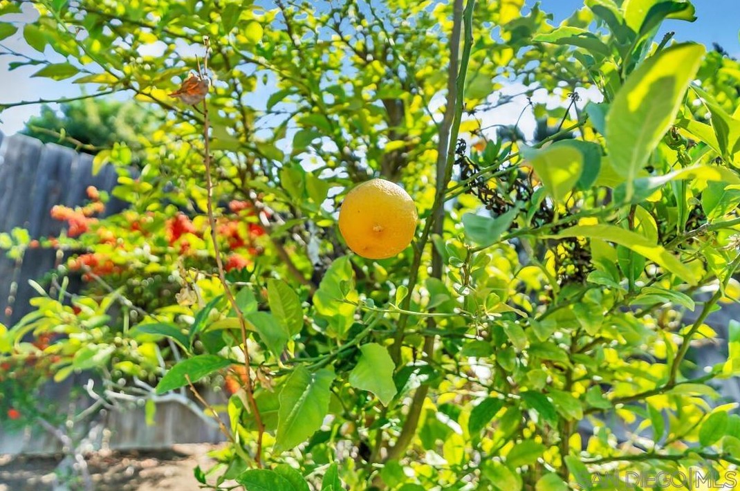 7523 Golfcrest Dr, San Diego CA 92119-1228 exterior