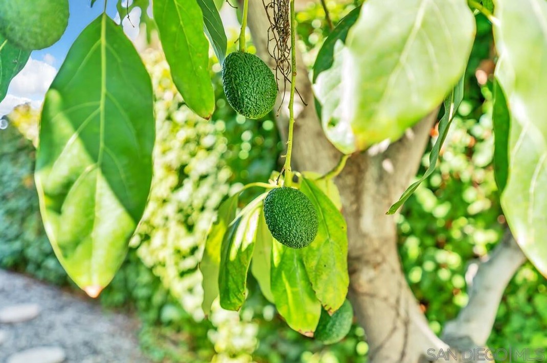 7523 Golfcrest Dr, San Diego CA 92119-1228 exterior