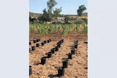  25675 Potrero Park Dr, Potrero, CA 91963 - Photo 46