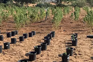 25675 Potrero Park Dr, Potrero, CA 91963 - Photo 46